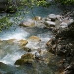 summer_53
