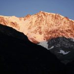 Swiss-14