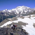 Swiss-16