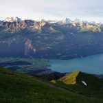 Swiss-4