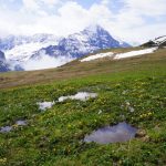 SwissAlps-1