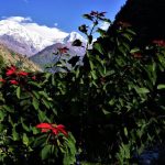 annapurna-21