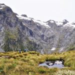 nz-9