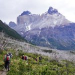 patagonia-7