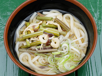 山菜うどん