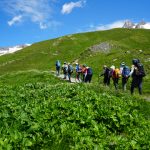 montblanc (13)