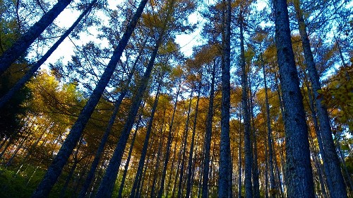 晩秋と初冬の間 北アルプス表銀座 燕岳 つばくろだけ の山小屋 燕山荘グループ